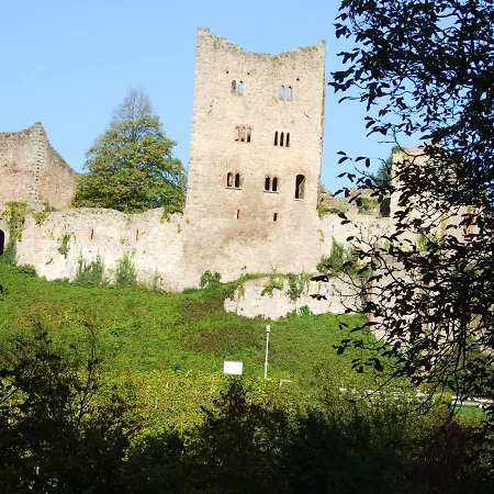Mayer In Der Sonnigen Ortenau Apartment *